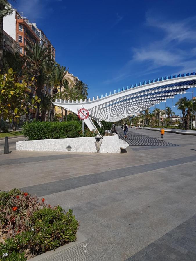 Apartament Carmen ตอร์เรเวียคา ภายนอก รูปภาพ